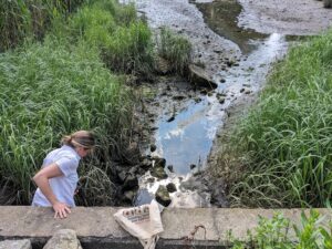 Person stepping into drainage basin of mud and grasses to do water quality testing