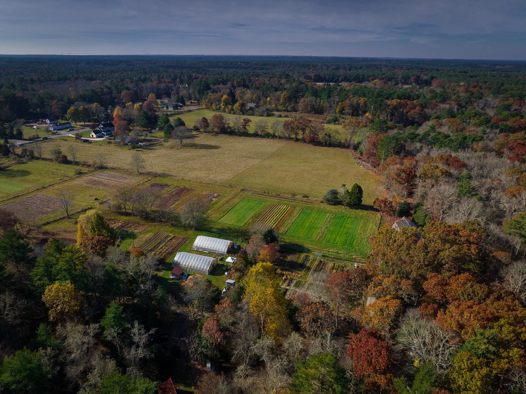 Rochester Agricultural Drone Image (10/2024)